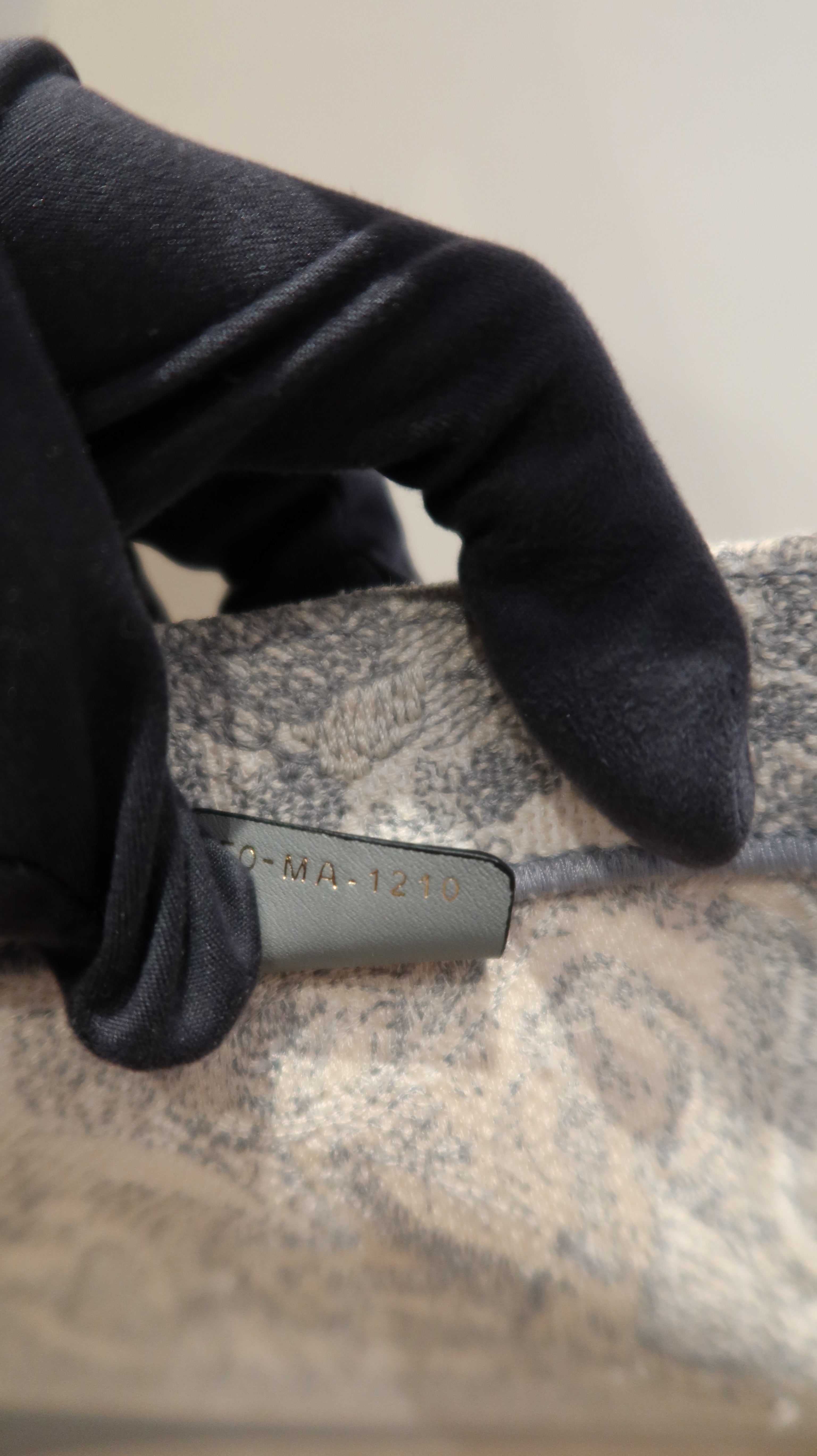 Christian Dior Book Tote