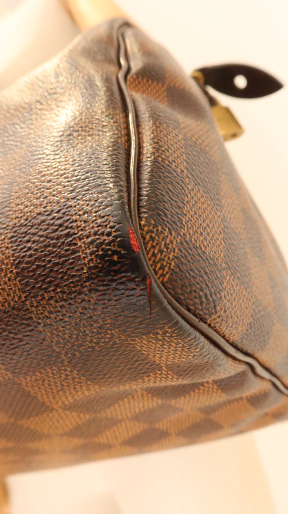 Louis Vuitton Speedy 30