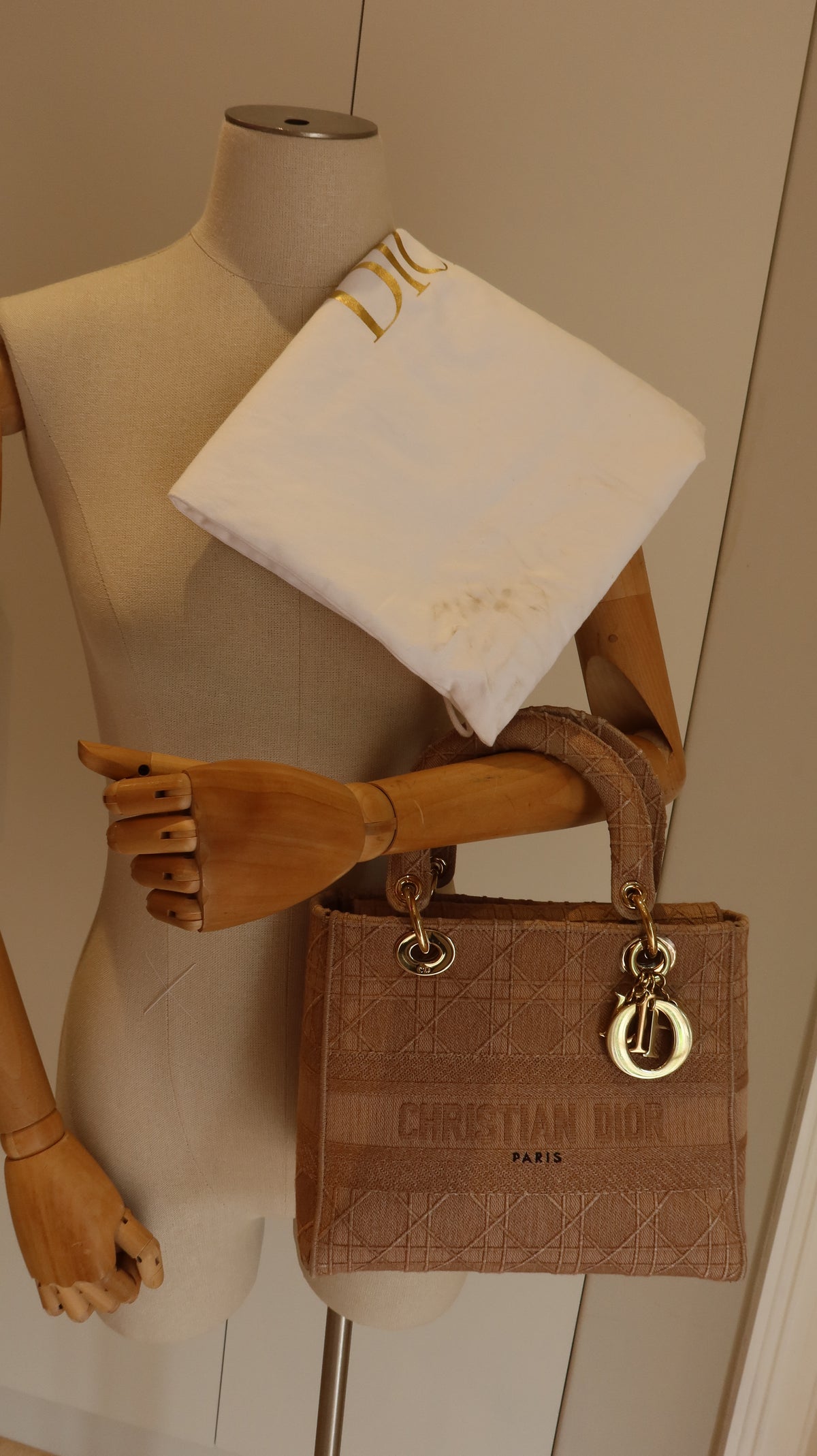 Christian Dior Lady D-Lite Bag