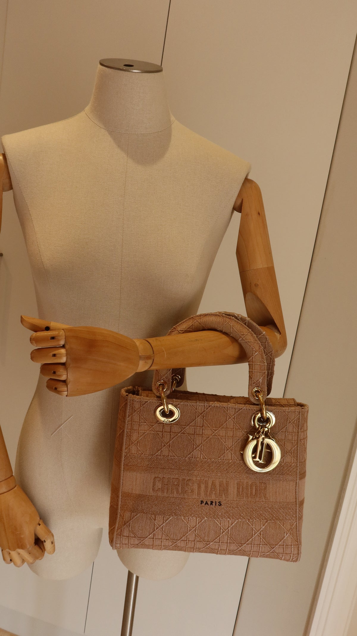 Christian Dior Lady D-Lite Bag