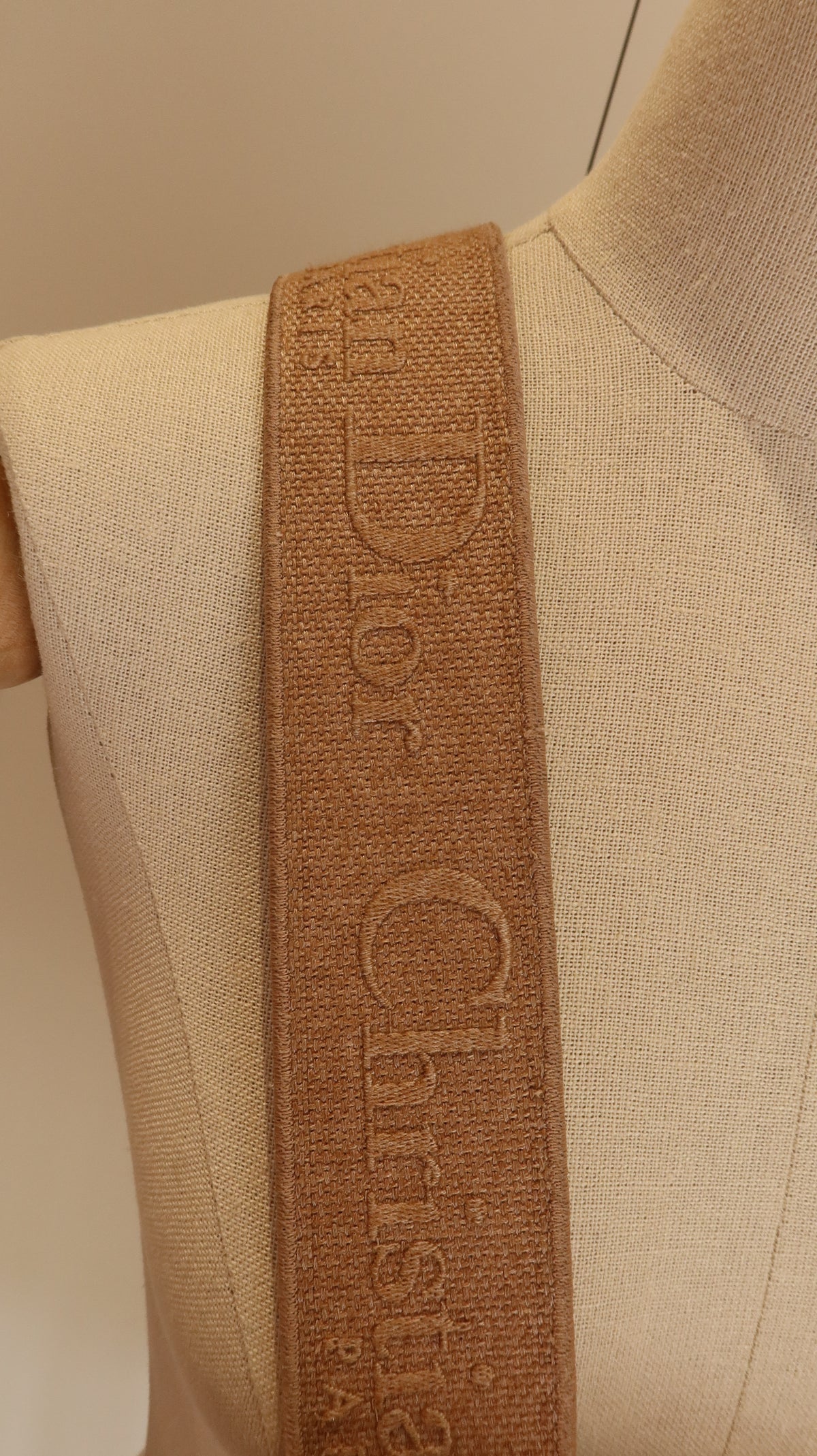 Christian Dior Lady D-Lite Bag