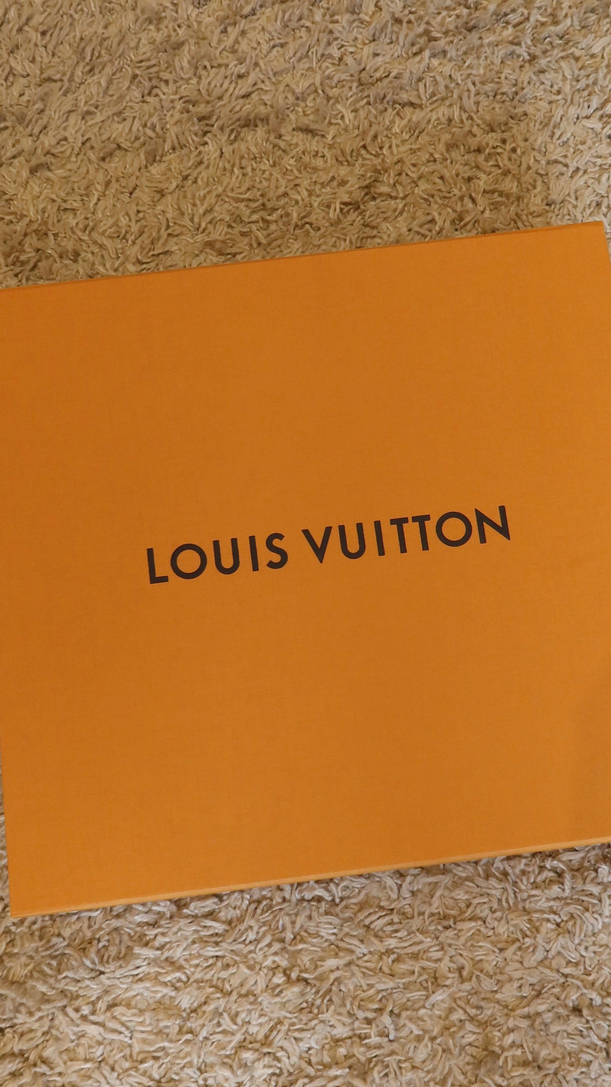 Louis Vuitton MyLockMe Top Handle Bag
