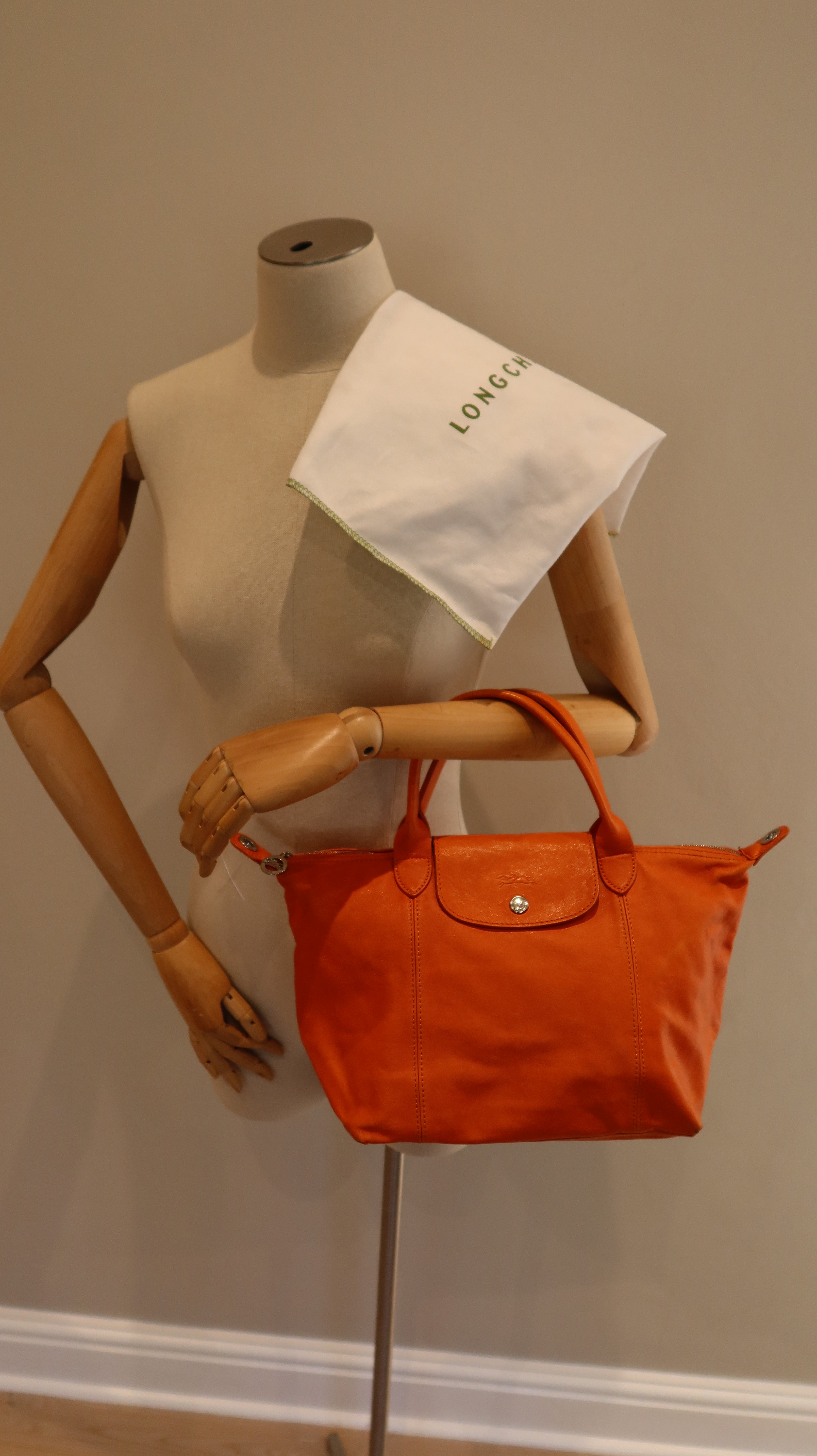 Longchamp Le Pliage Leather Bag