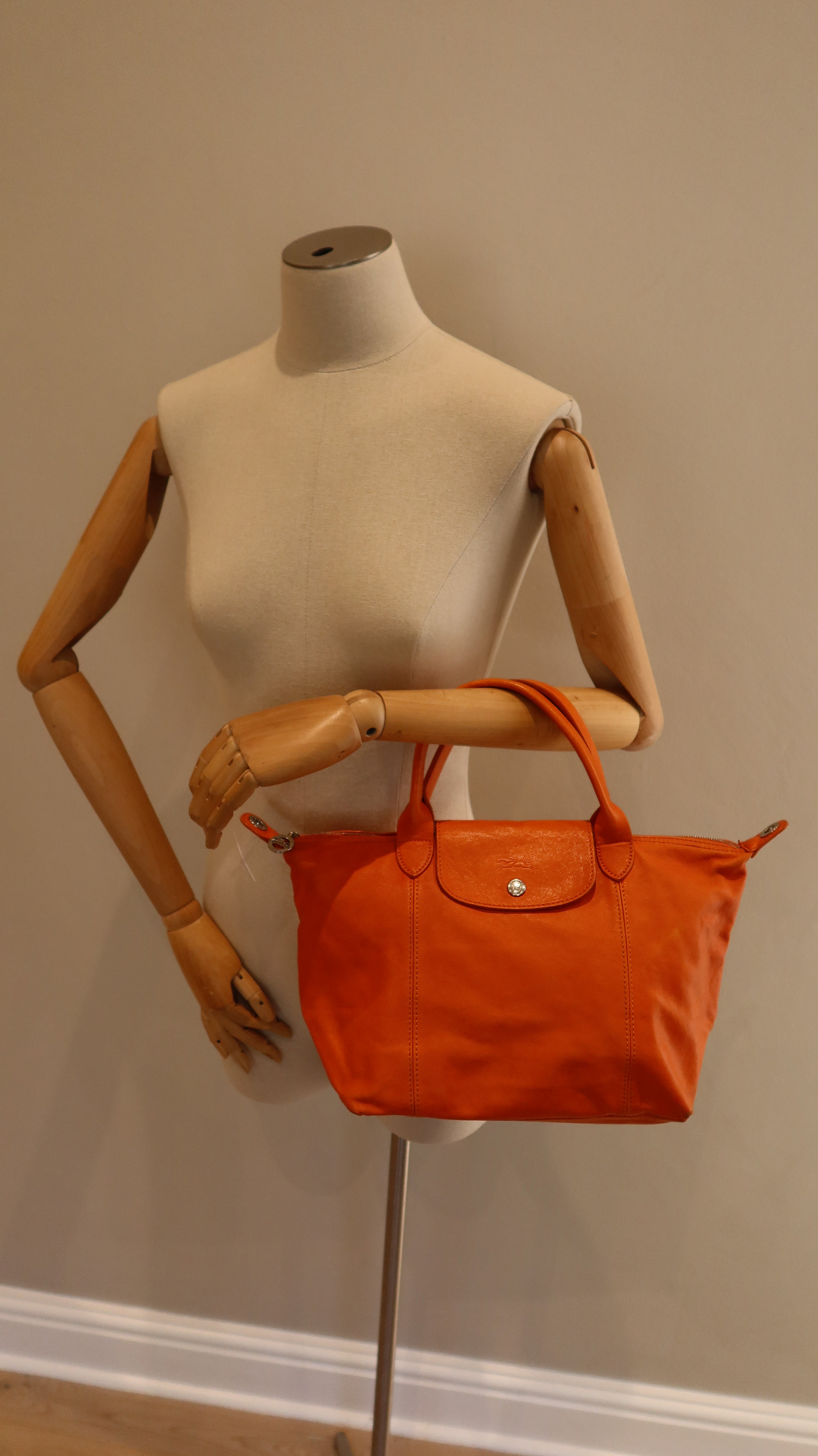Longchamp Le Pliage Leather Bag