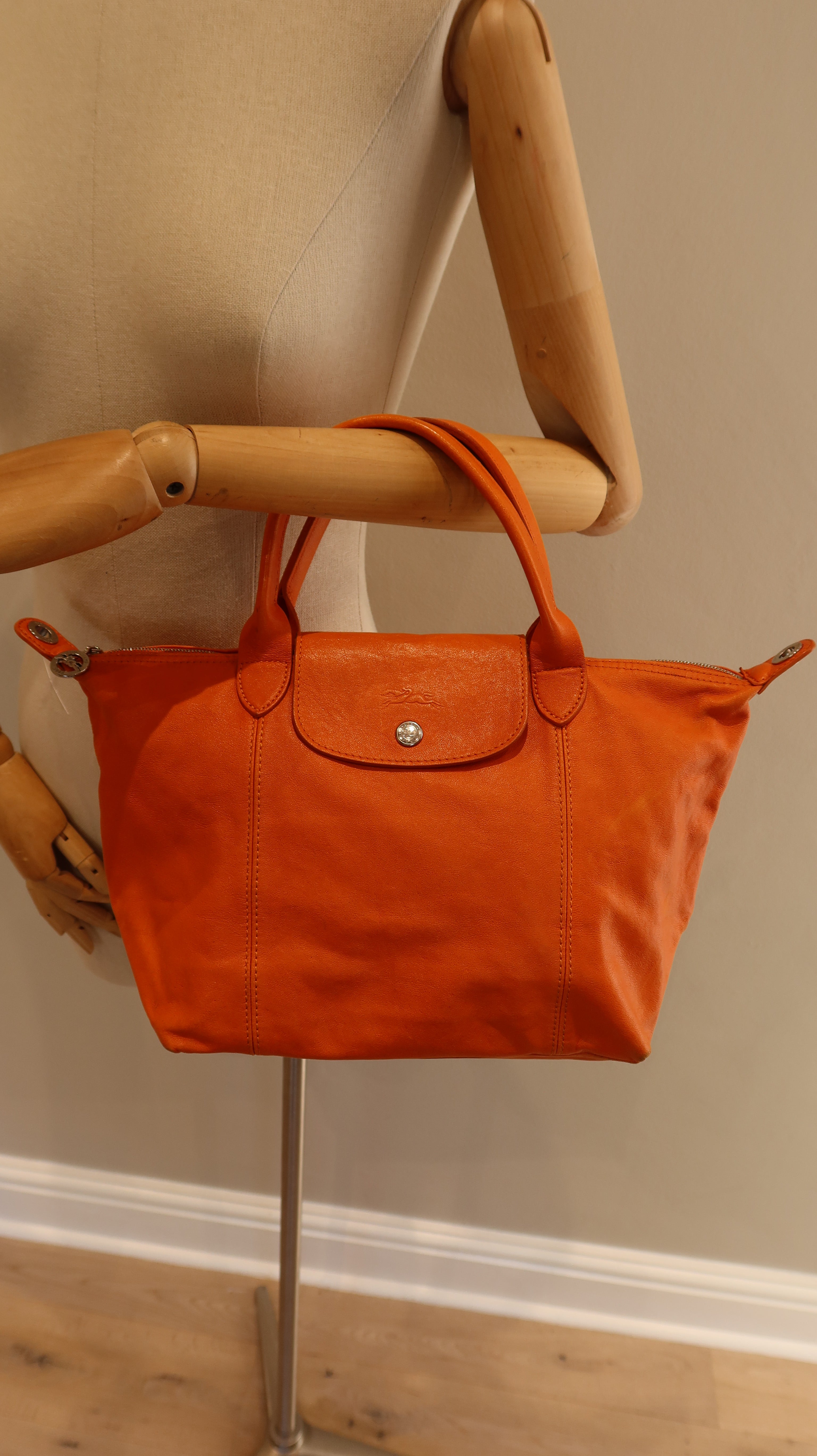 Longchamp Le Pliage Leather Bag
