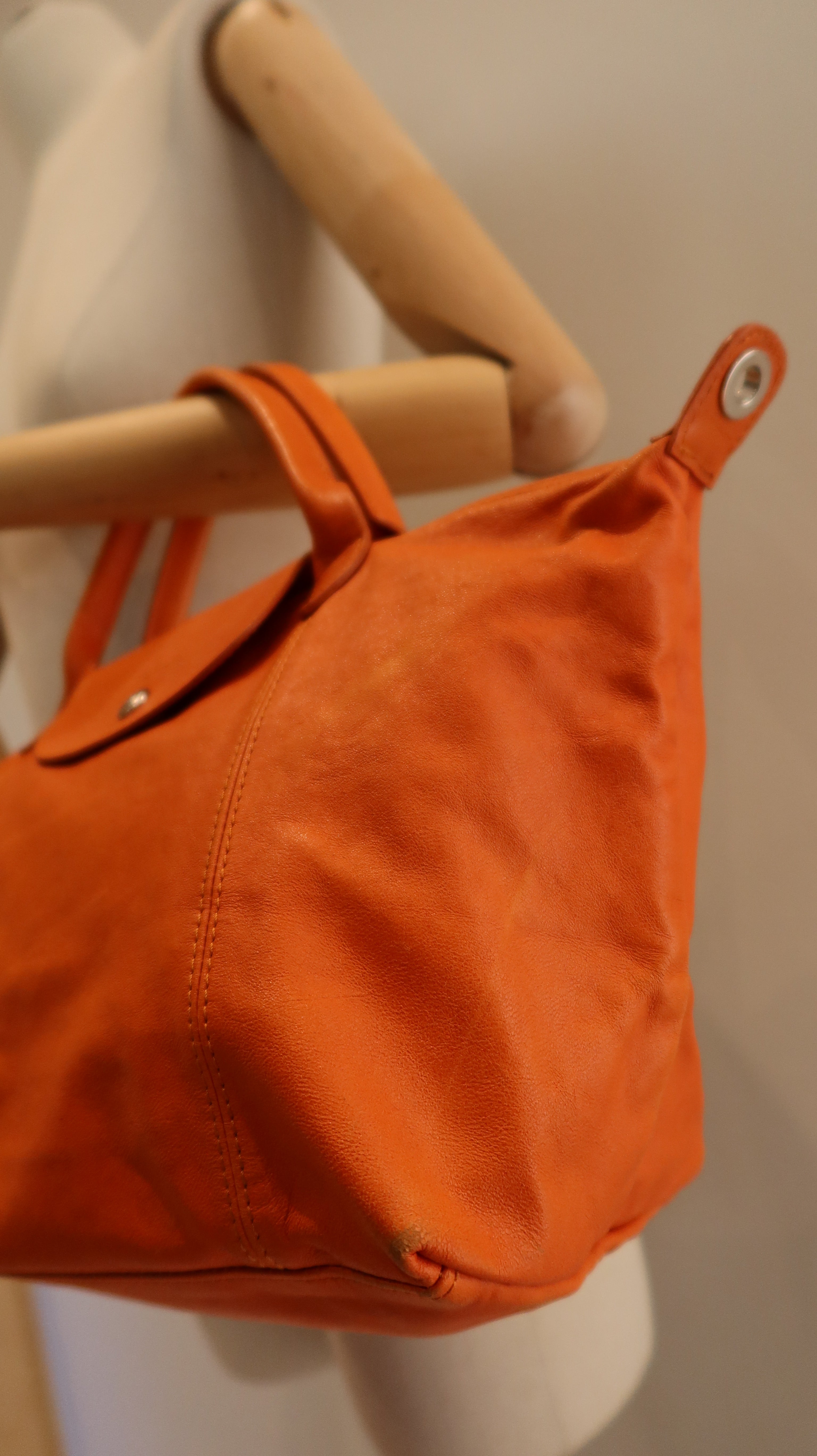 Longchamp Le Pliage Leather Bag