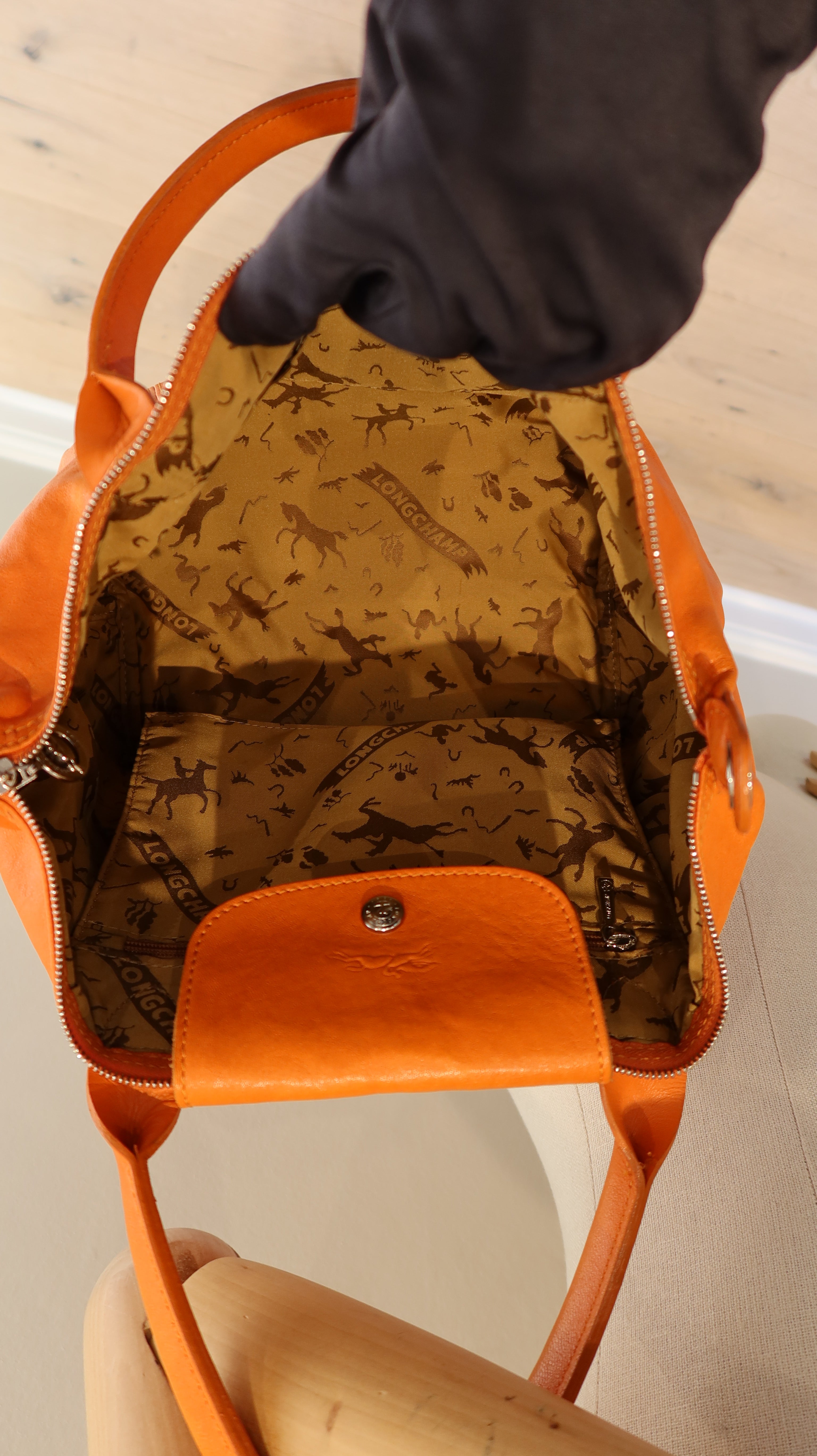 Longchamp Le Pliage Leather Bag