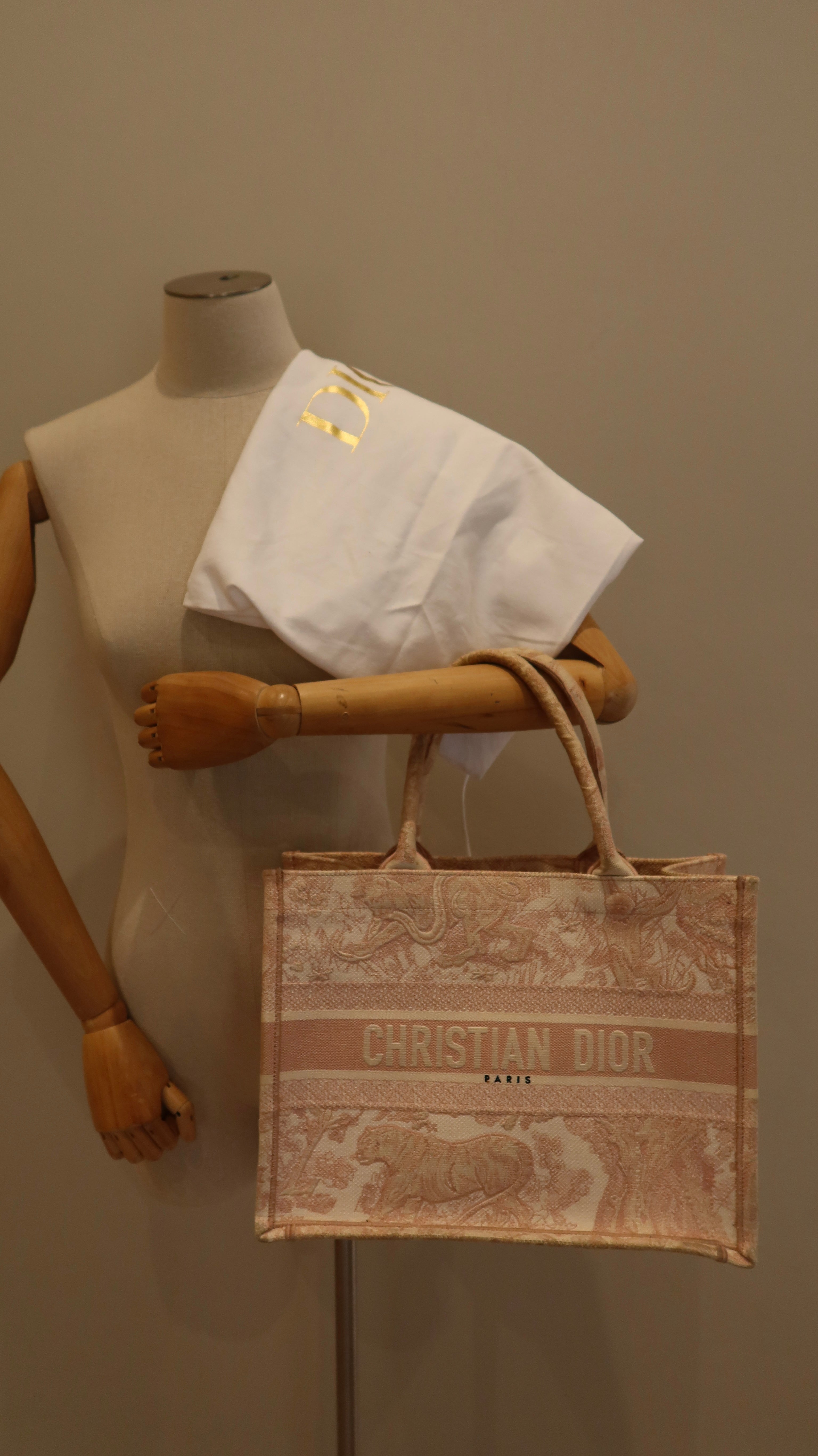 Christian Dior Book Tote
