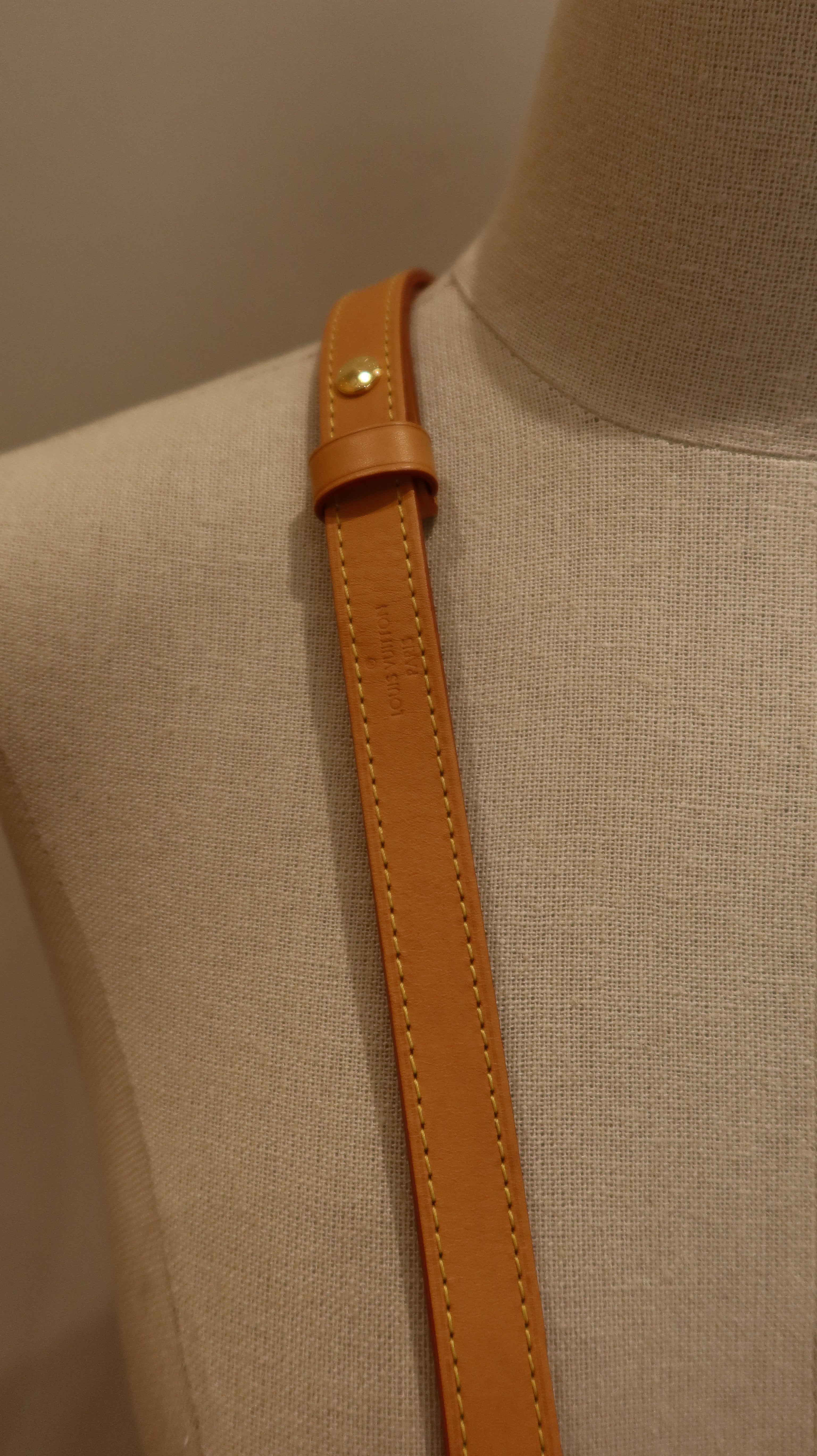 Louis Vuitton Loop Bag