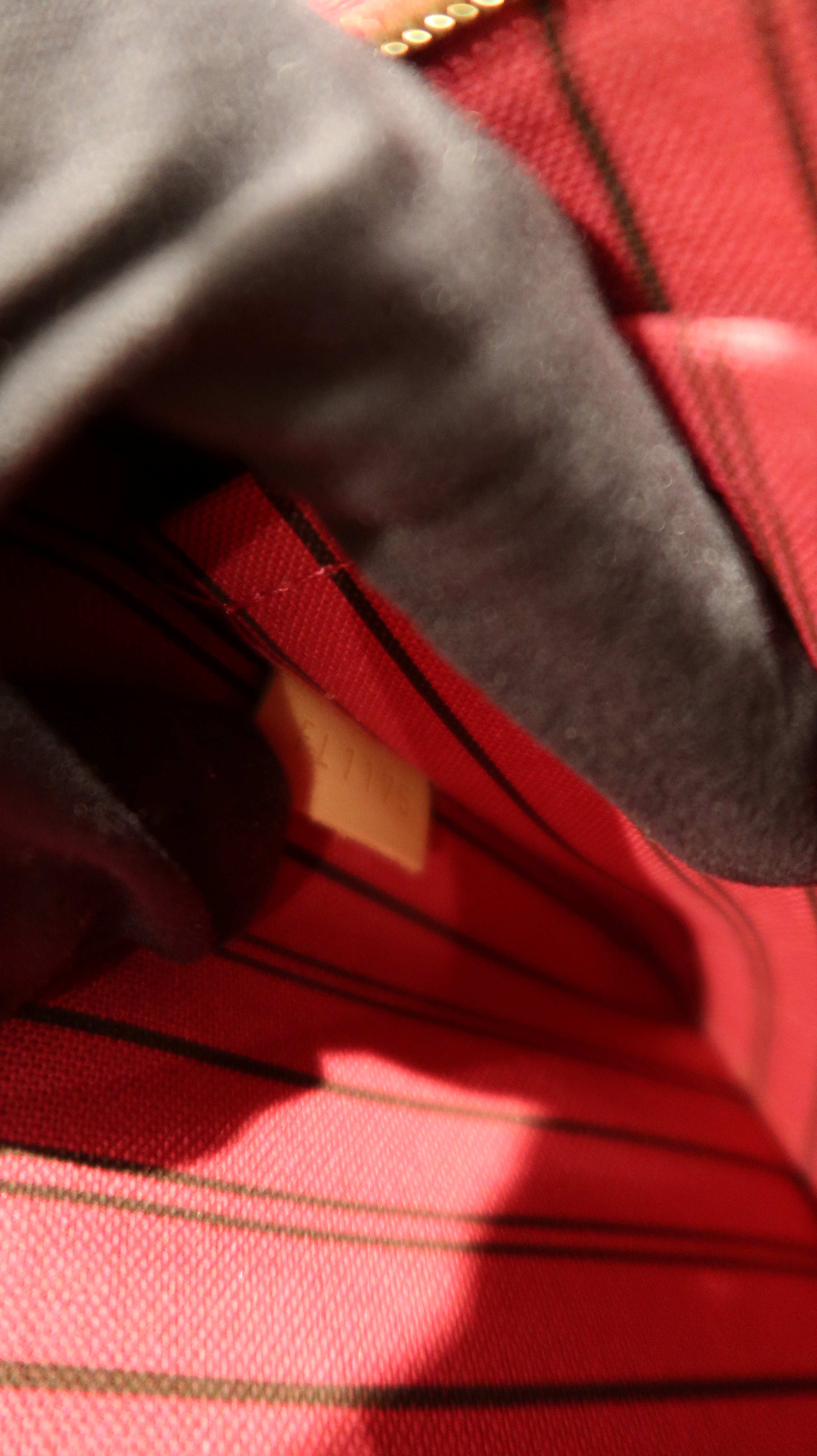 Louis Vuitton Neverfull Pochette