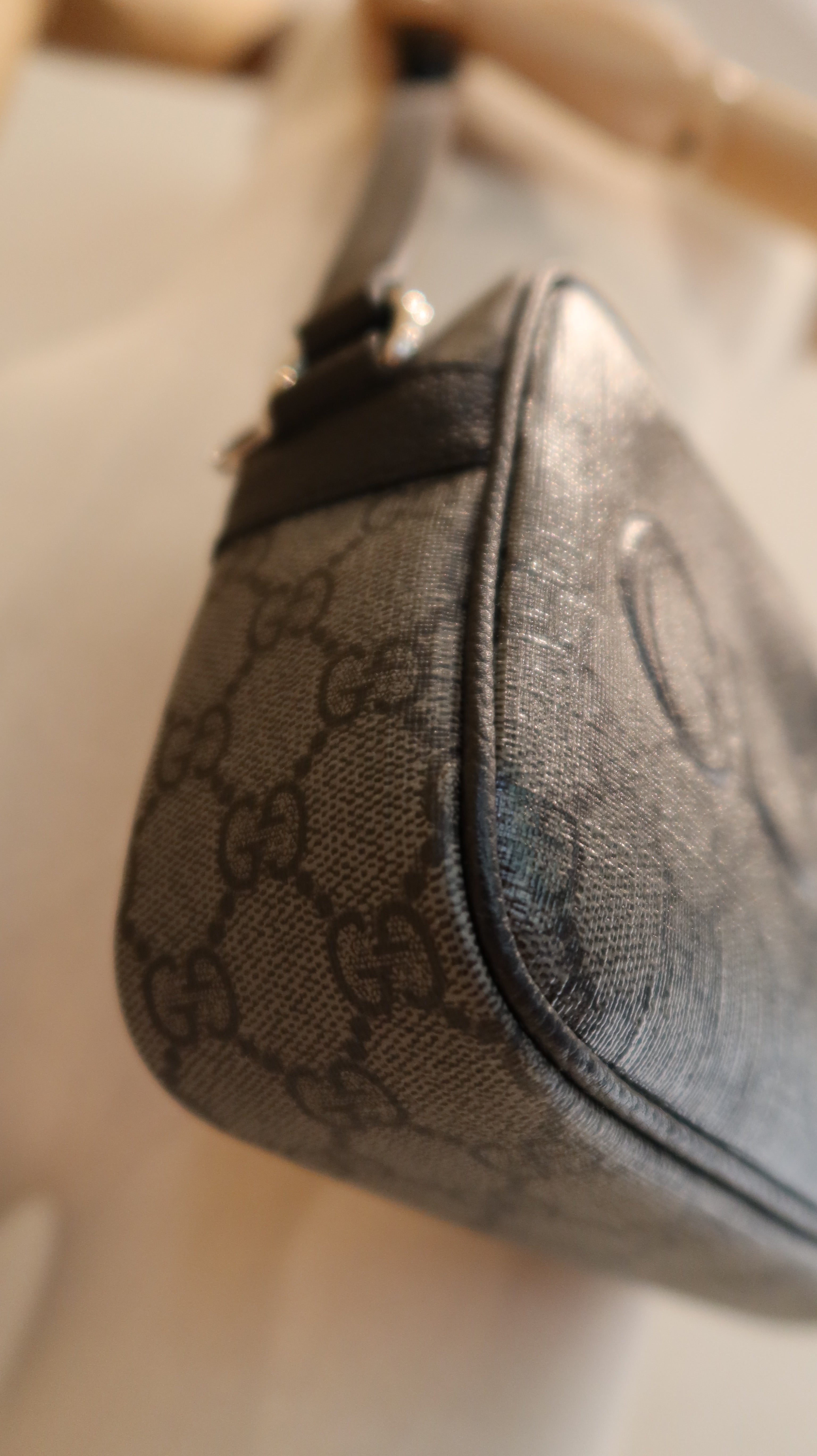 Gucci Camera Bag