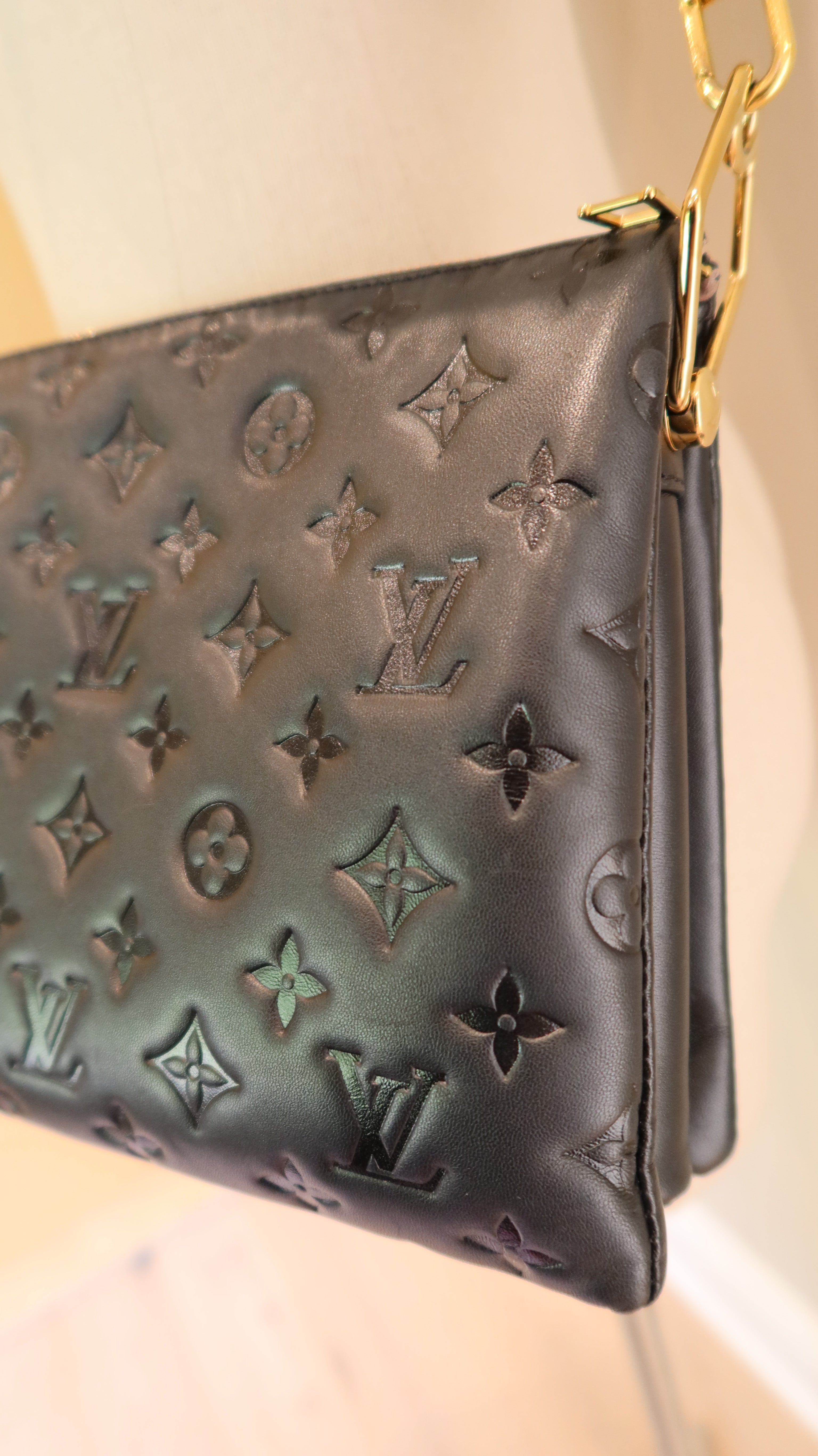 Louis Vuitton Coussin PM Bag
