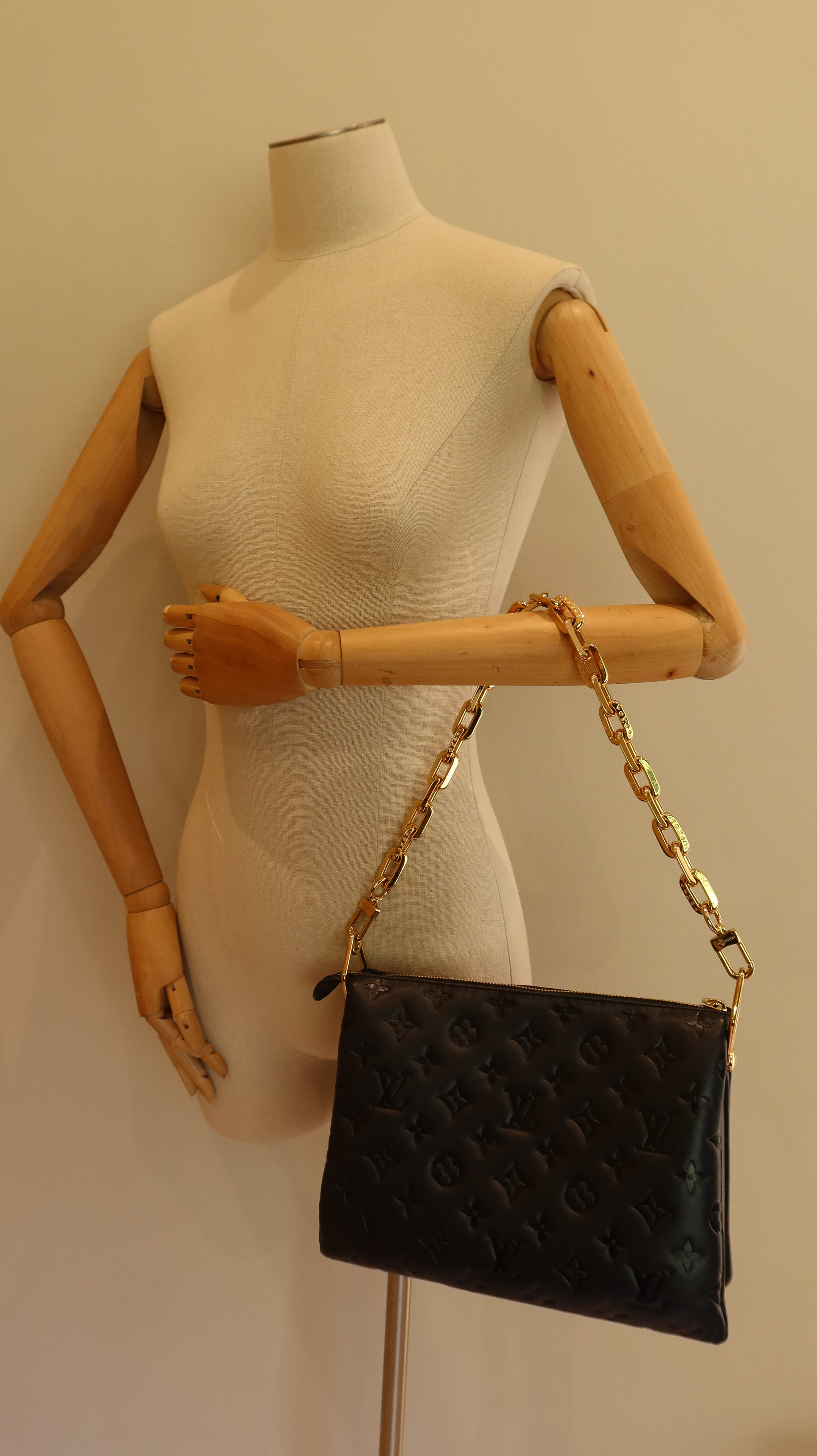 Louis Vuitton Coussin PM Bag