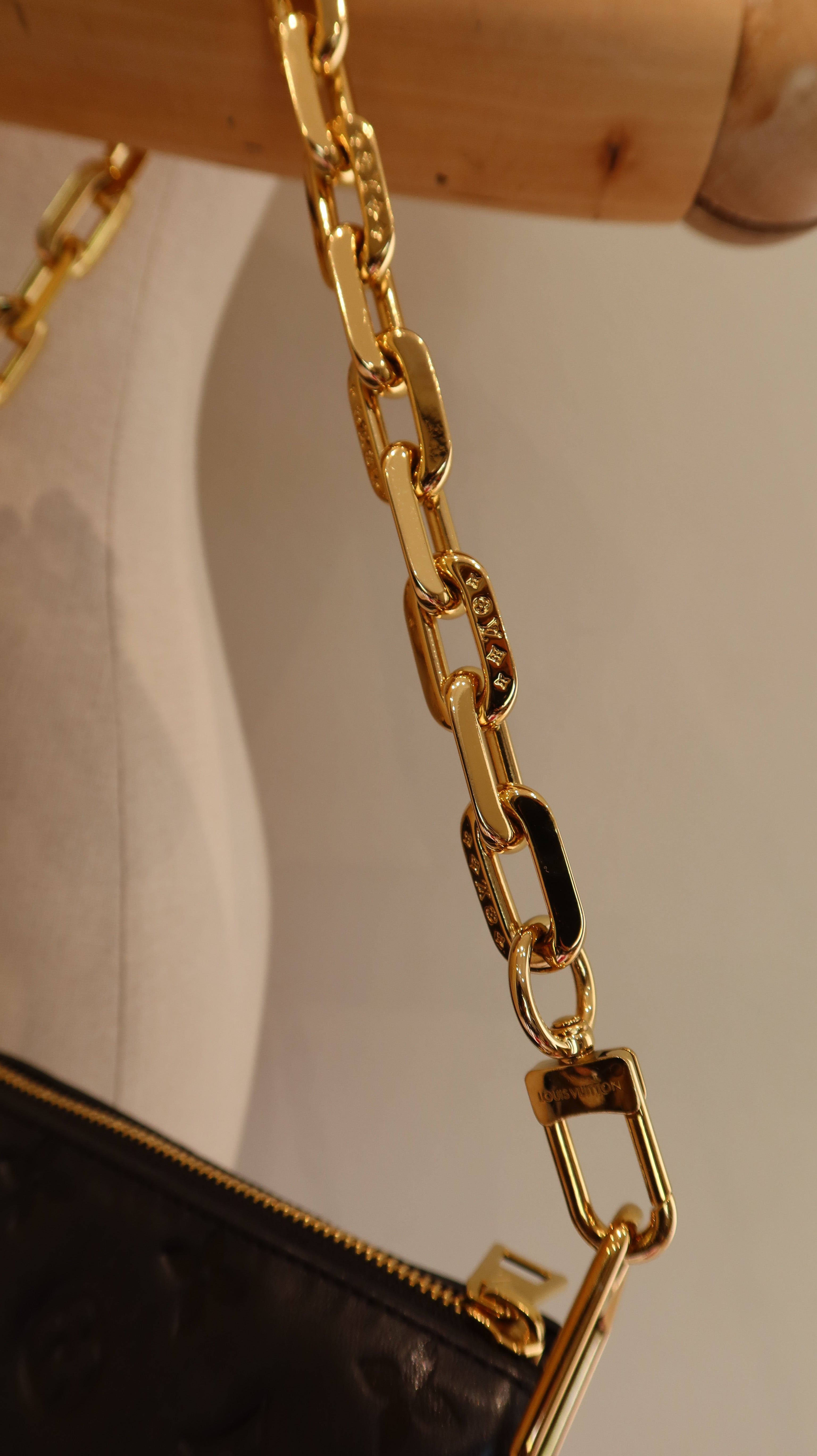 Louis Vuitton Coussin PM Bag