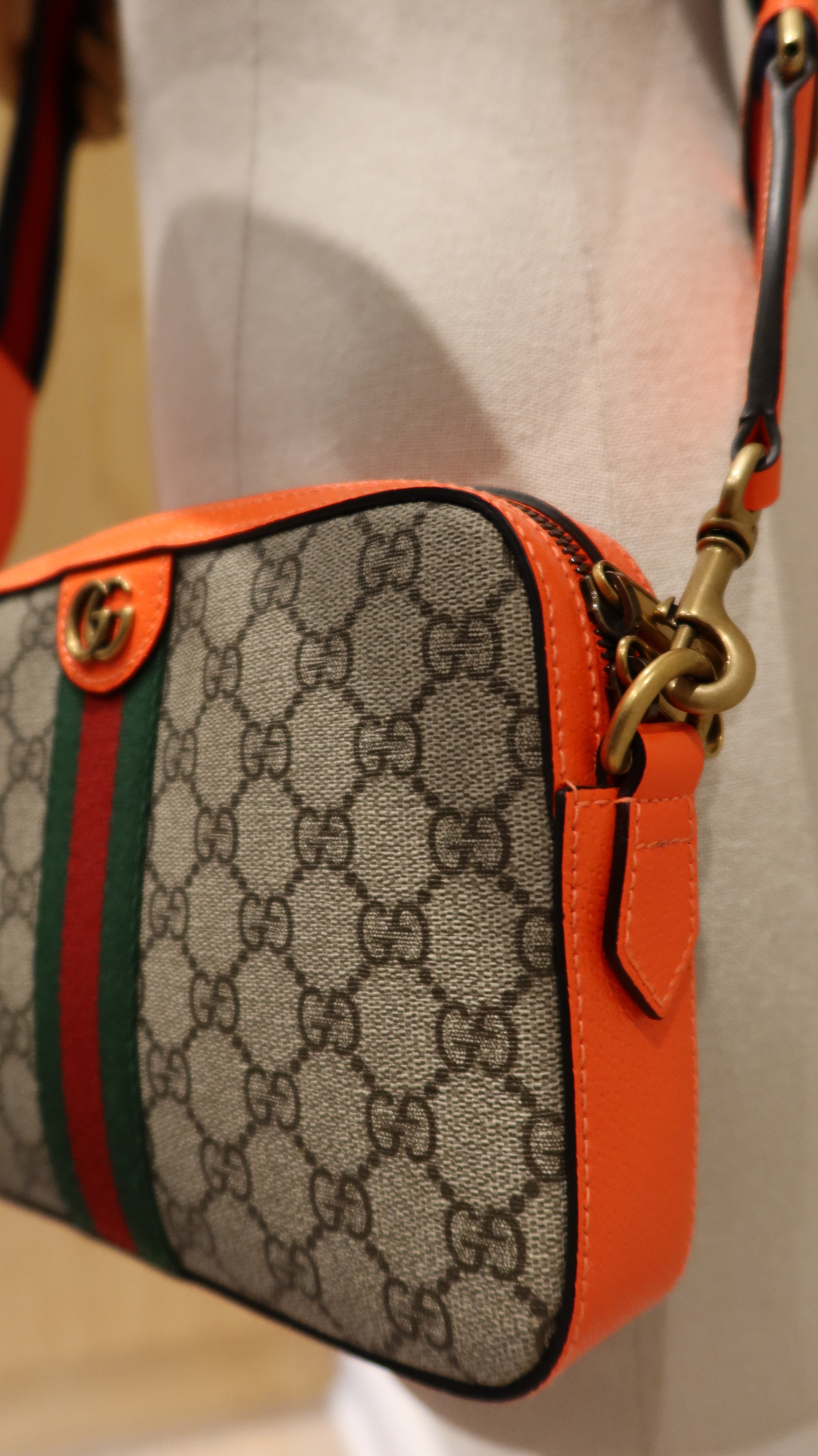 Gucci Ophidia Bag