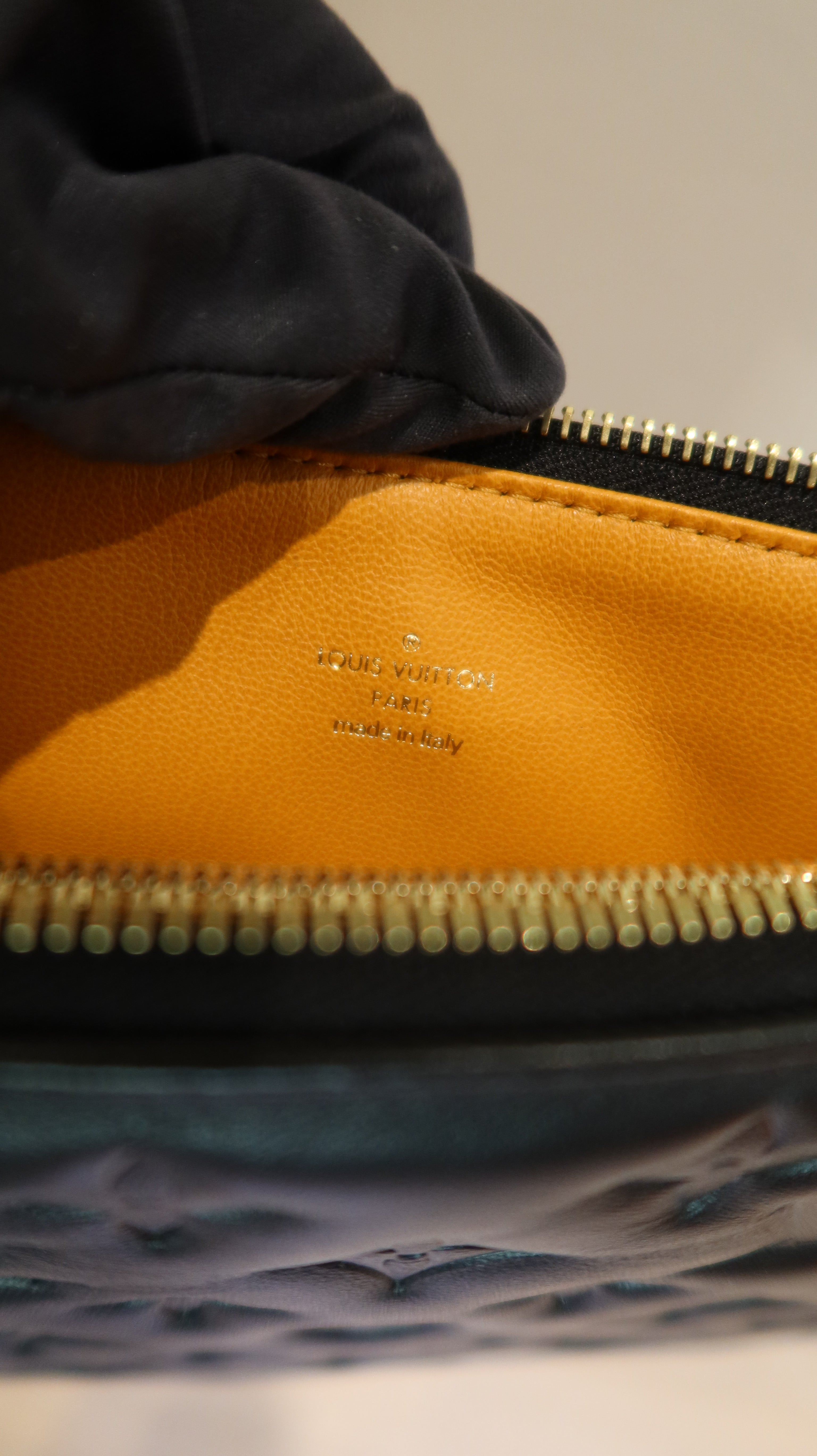 Louis Vuitton Coussin MM Bag *Full Set*