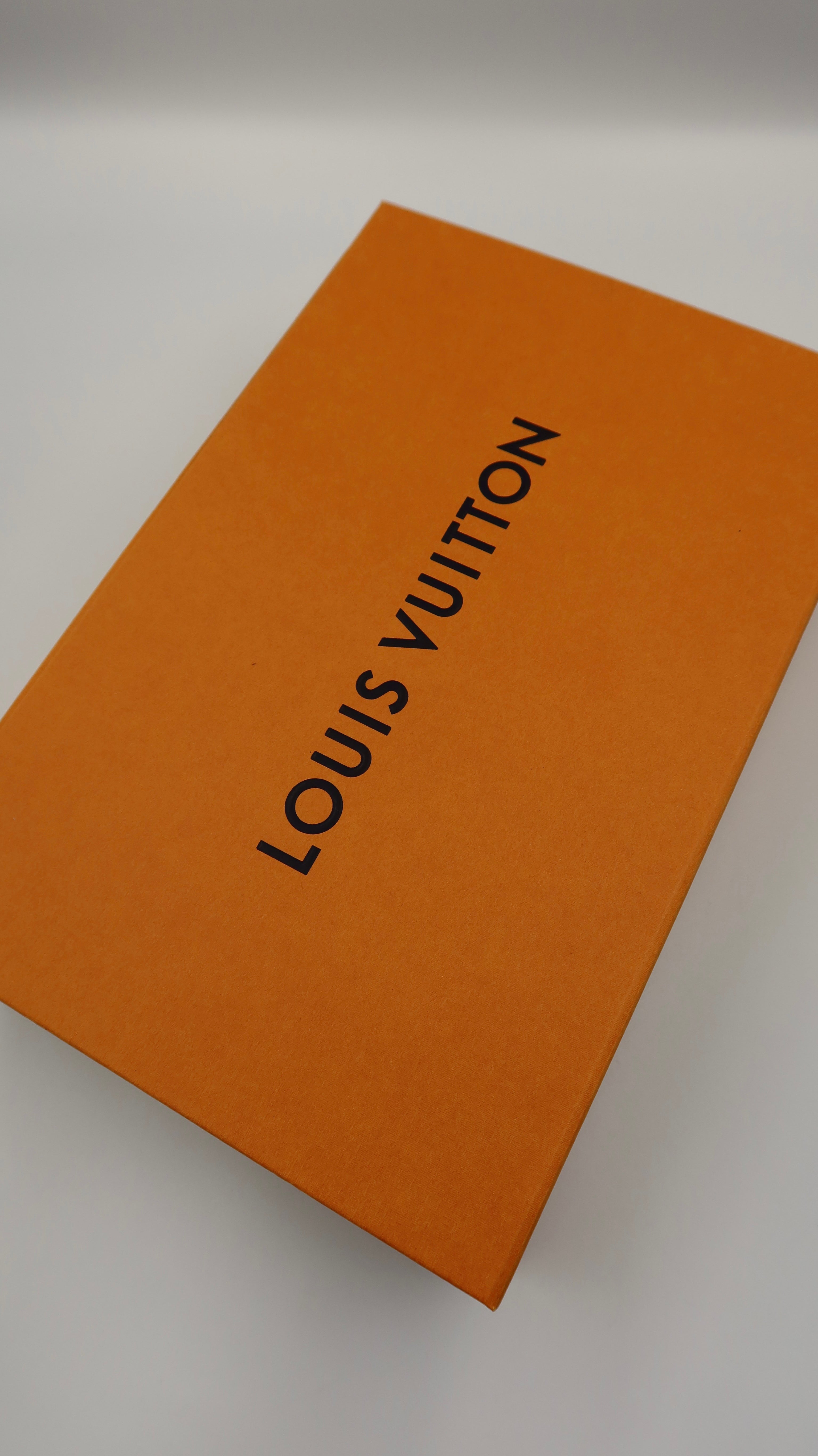 Louis Vuitton Multi Pochette Accessoires *Full Set*